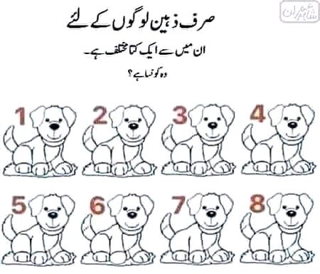 Riddles & Puzzles image