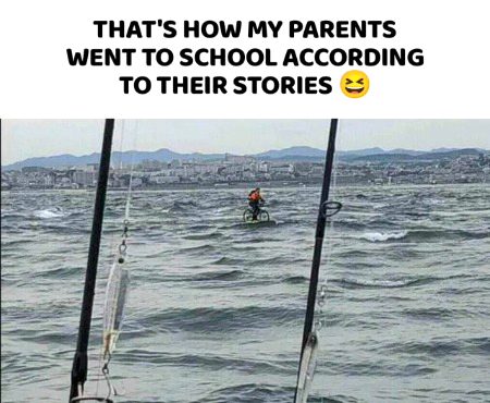 Memes & Satire image