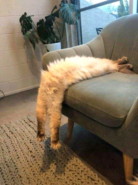 Beautiful Nature image