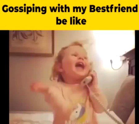 Memes & Satire image