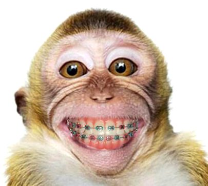 Beautiful Nature image