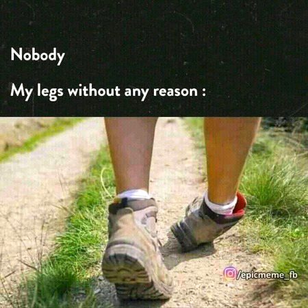 Memes & Satire image