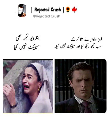 Memes & Satire image