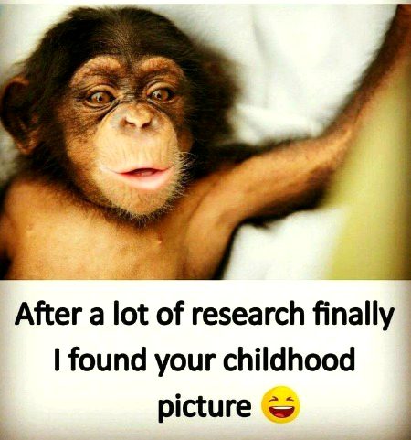 Memes & Satire image