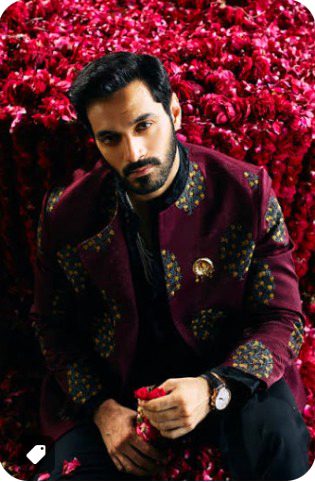 Pakistani Celebs image