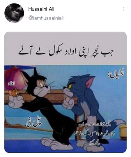 Memes & Satire image
