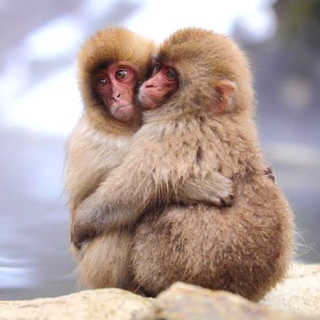 Beautiful Nature image