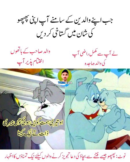 Memes & Satire image