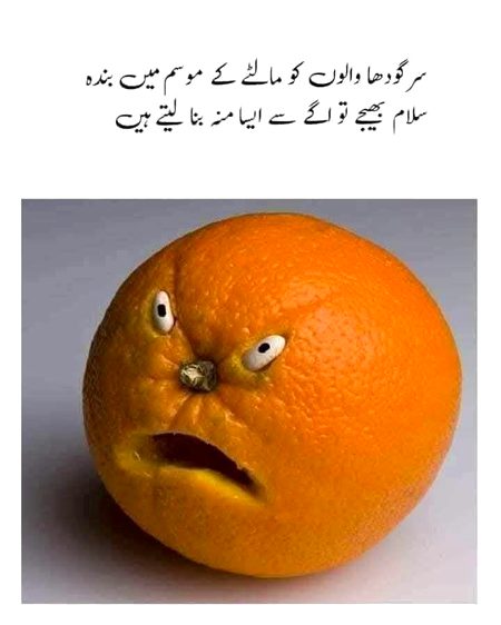 Memes & Satire image