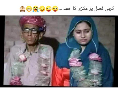 Memes & Satire image