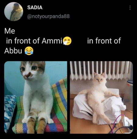 Memes & Satire image
