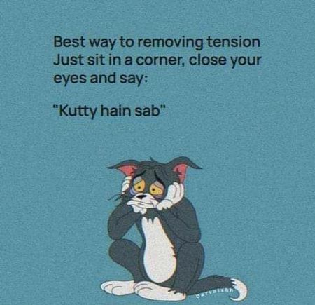Memes & Satire image