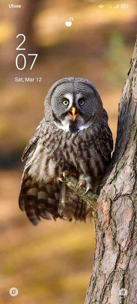Beautiful Nature image