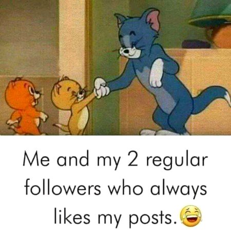 Memes & Satire image