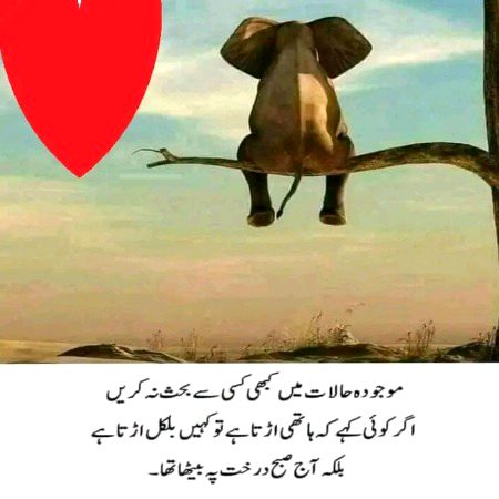 Memes & Satire image