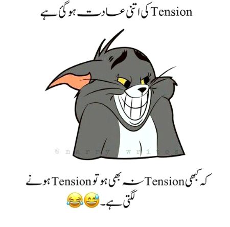 Memes & Satire image