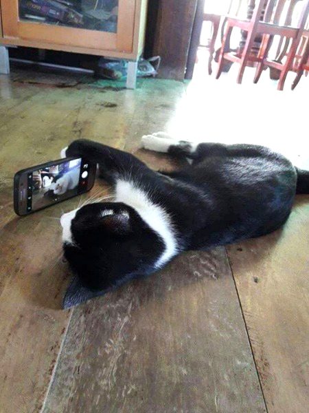 Beautiful Nature image