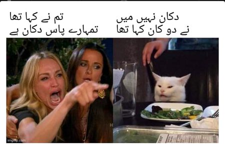 Memes & Satire image