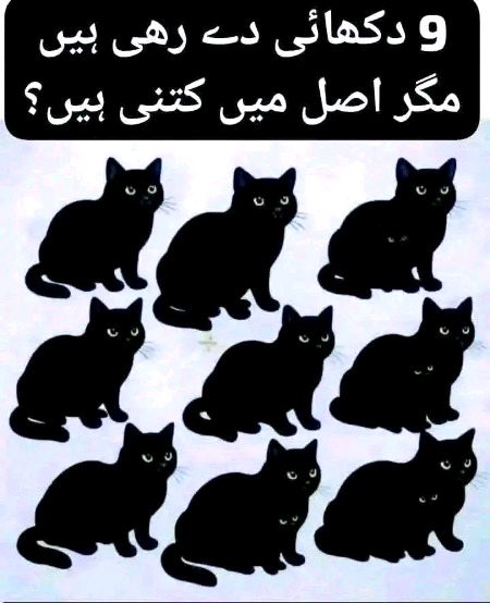 Riddles & Puzzles image