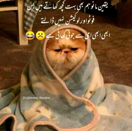 Funny joke
