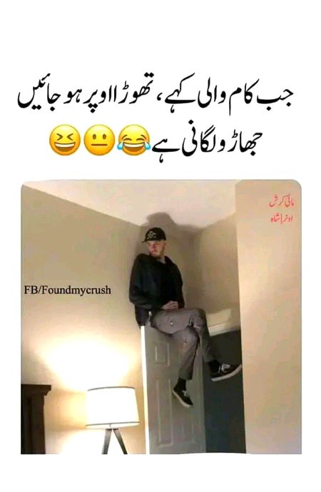 Memes & Satire image