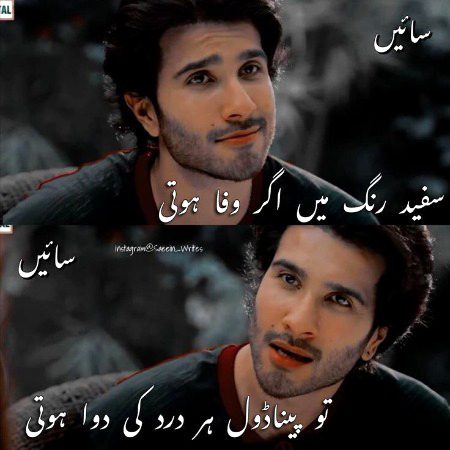 Memes & Satire image