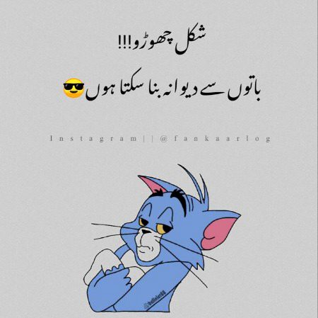 Memes & Satire image