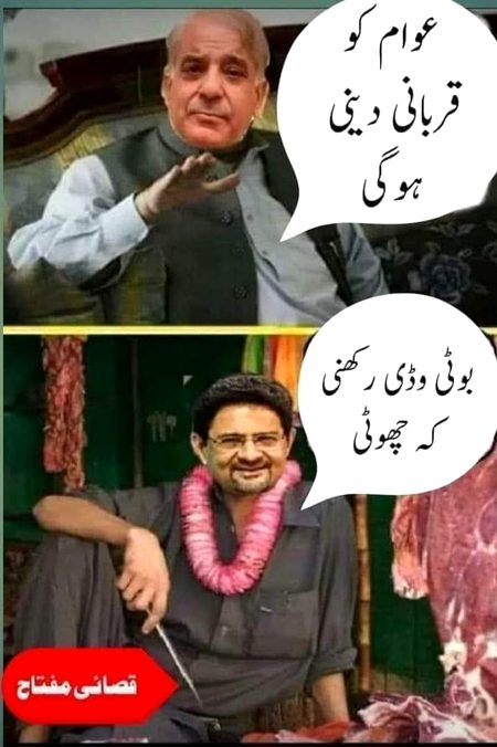 Memes & Satire image