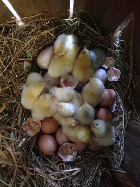 Beautiful Nature image