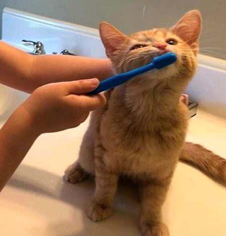 Beautiful Nature image