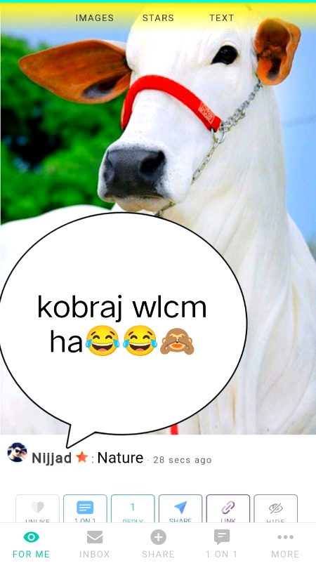 Damadam Roasting image