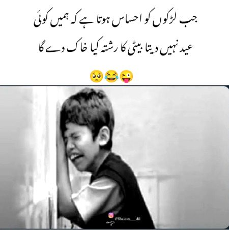 Memes & Satire image