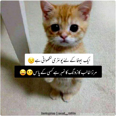 Jokes image