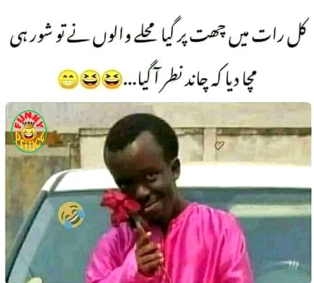 Memes & Satire image