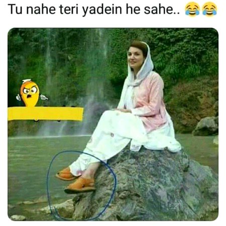 Memes & Satire image