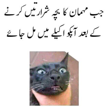 Memes & Satire image