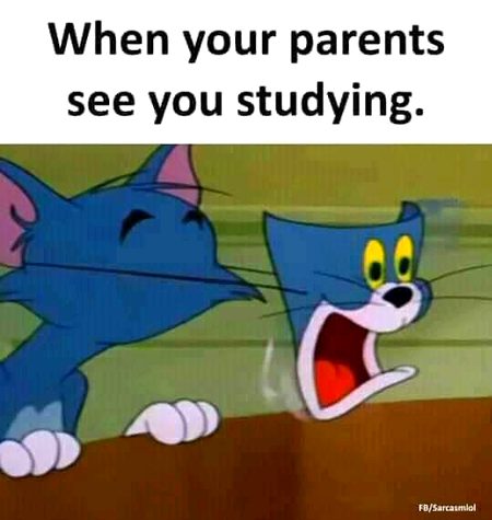 Memes & Satire image