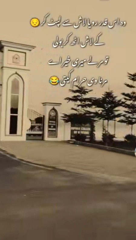 Memes & Satire image