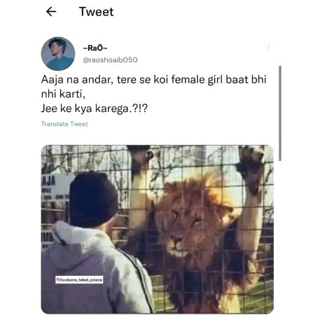 Memes & Satire image