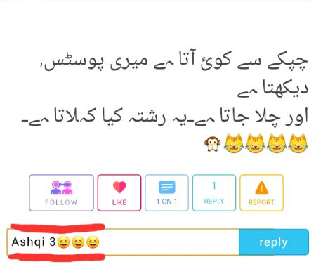 Damadam Roasting image