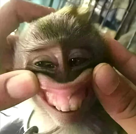 Funny joke