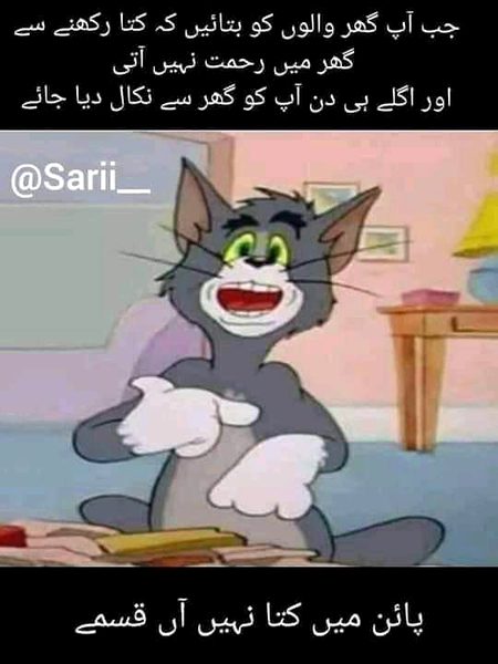 Memes & Satire image