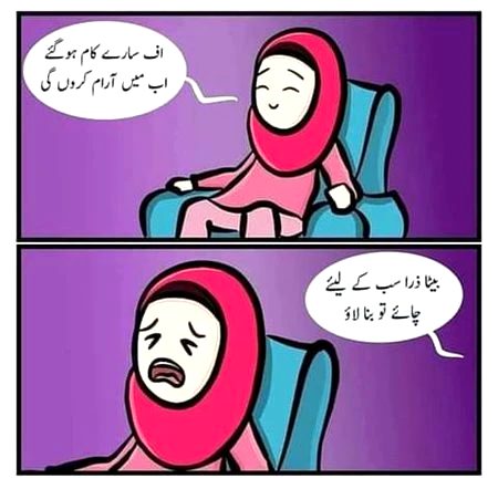 Memes & Satire image