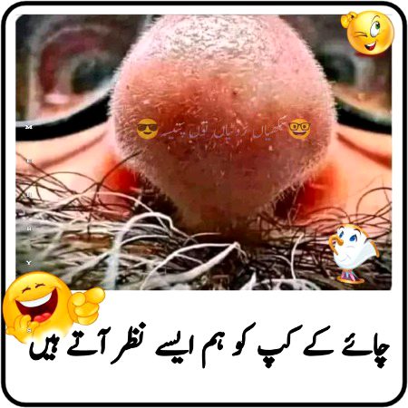 Memes & Satire image
