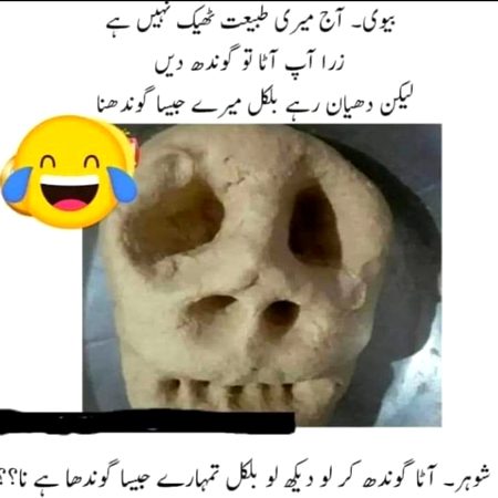Memes & Satire image