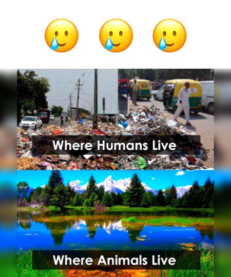 Memes & Satire image
