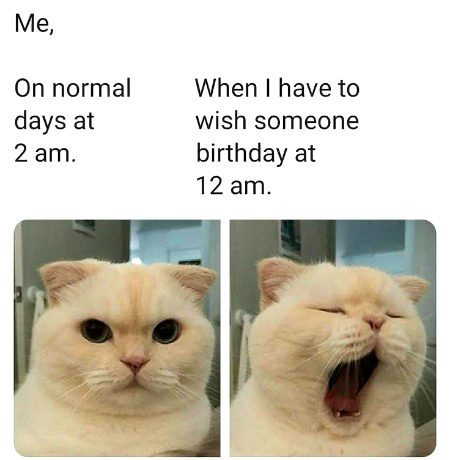 Memes & Satire image