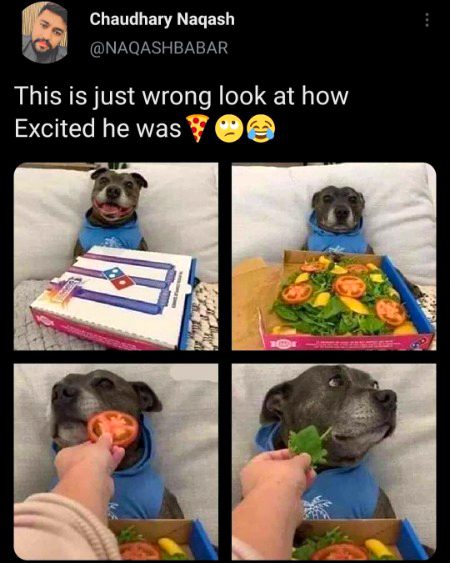 Memes & Satire image