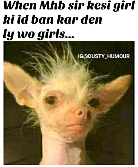 Damadam Roasting image