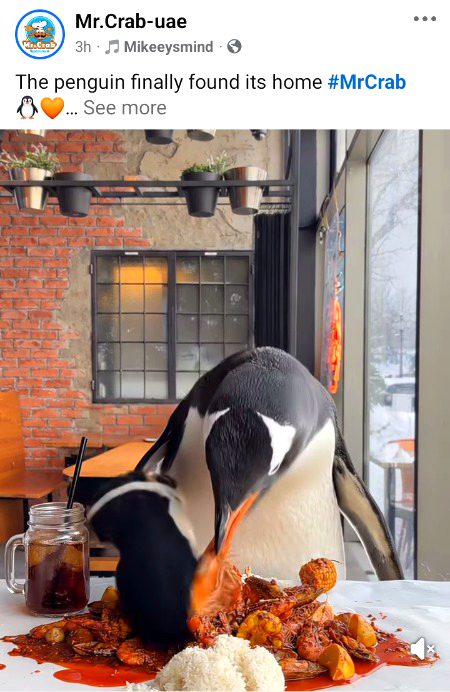 Memes & Satire image